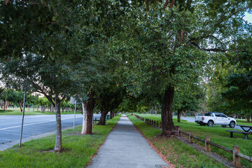 Obraz premium Camden, NSW, Australia – February 16, 2026: historic town street scene with local shops and cafes, small-town architecture and roadside daily life in Camden, New South Wales editorial image