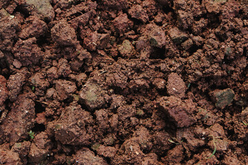 Rich Reddish-Brown Soil Texture Close-up Background