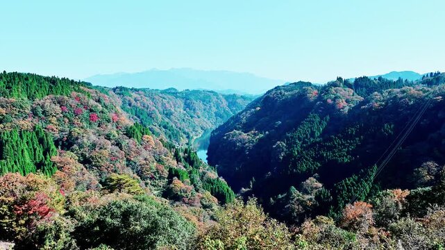 九州のグランドキャニオン」が赤に染まる、蘇陽峡の秋
「絶壁と五ヶ瀬川が織りなす、阿蘇南外輪山の雄大な自然が育んだ、秘境・蘇陽峡の紅葉風景」
熊本県上益城郡山都町長崎(長崎鼻展望台)
The "Grand Canyon of Kyushu" is dyed red in autumn at Soyo Gorge