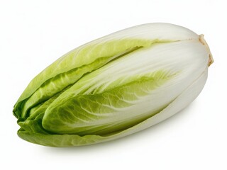 A close-up view of a single green bean pod with visible texture and light isolated on white background