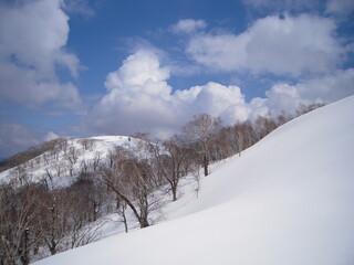 Spring coming soon in Mt.Irumukeppu