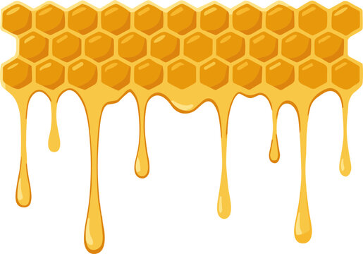 honey dripping from honeycomb Border