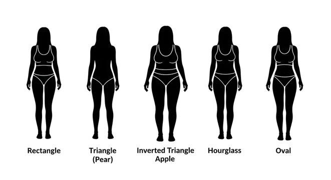 Female body shapes and silhouettes.