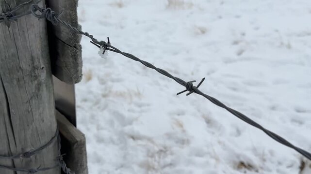 Barbed Wire Fence Running Through Snow Covered Prairie Landscape During Winter in Rural Countryside