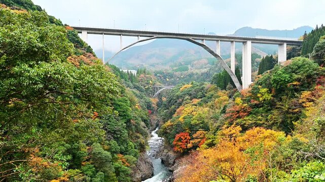  秋の紅葉に彩られた宮崎県高千穂峡と神都高千穂大橋の絶景
「神々が宿る峡谷、高千穂。悠久の時が刻んだ断崖と秋色のコントラスト。」
宮崎県高千穂峡
The breathtaking scenery of Takachiho Gorge and the sacred Takachiho Bridge in Miyazaki Prefecture, adorned with autumn foliage