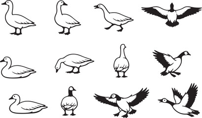 Set of hand drawn goose illustrations shows the bird in various poses © Amina