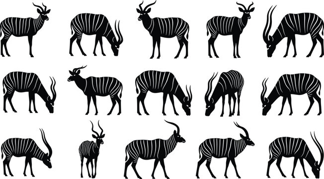 African kudu antelope silhouette set, striped gazelle animal collection in various poses, safari wildlife, cad drawing flat vector illustration, isolated.