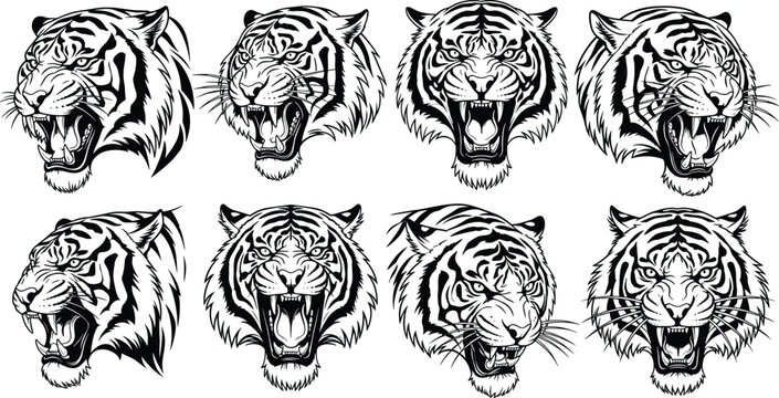 Aggressive tiger head mascot set, roaring predator with sharp fangs, wild animal tattoo collection, cad drawing flat vector illustration, isolated.