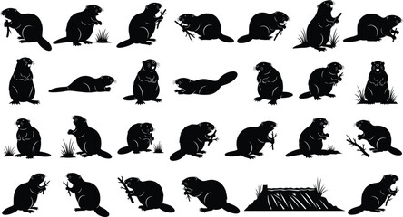 Beaver silhouette vector set, aquatic rodent collection, black animal icons, dam building sequence, wild castor shapes, isolated on white background. © Mehedi