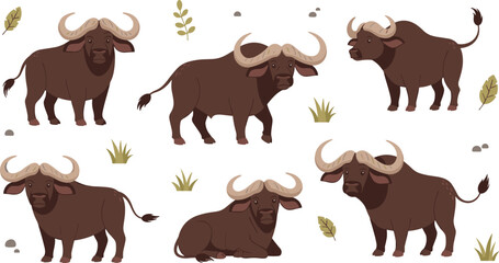 Fototapeta premium African Buffalo Vector Illustration Set Featuring Wild Cape Buffalo in Standing and Resting Poses for Safari Wildlife Graphics, Nature Designs, and Animal Education Materials.