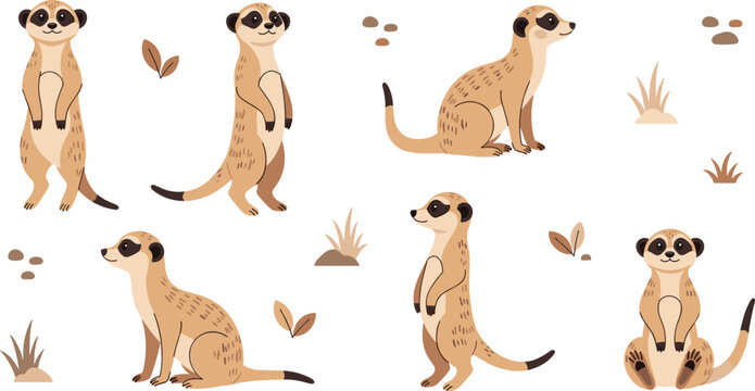 Meerkat Vector Illustration Set Featuring Cute African Desert Animals in Standing and Sitting Poses for Safari Wildlife Graphics, Nature Designs, and Educational Materials.