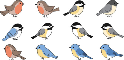 Cute Bird Vector Set with Robins, Chickadees, and Bluebirds in Various Poses for Nature, Wildlife, and Birdwatching Themes © Saidi