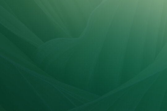 Abstract Green Gradient Wave Background with Soft Flowing Light Lines