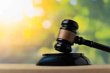 A judge's gavel and sound block against a bright, sunlit green bokeh background. Environmental law,...