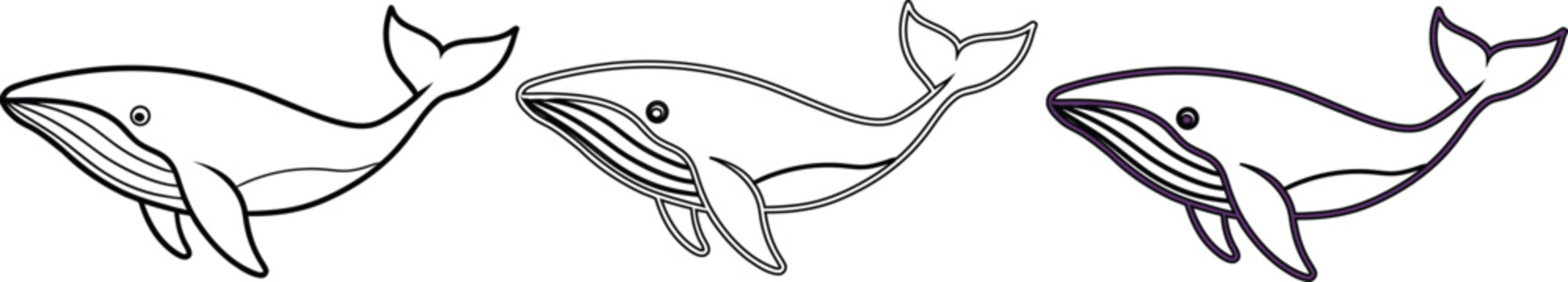 Three outline whale illustrations, minimalist vector art, isolated on white background