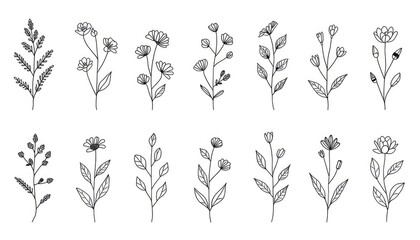 Fototapeta premium minimal botanical graphic sketch drawing, trendy tiny tattoo design, floral elements vector illustration