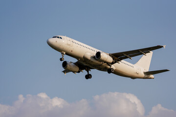 Fototapeta premium airplane in flight