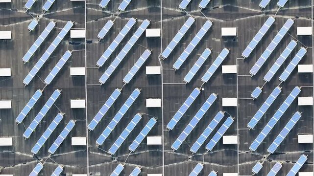 logistics warehouse roof diagonal rows blue photovoltaic panels rectangular skylights drainage lines membrane seams forming structured industrial grid to top down view 