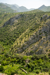 Fototapeta premium Tree covered slopes in the gorge beside the ruins of Fortress Bar, in Stari Bar, Montenegro
