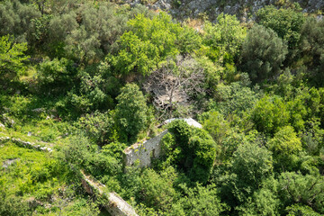 Fototapeta premium Old stone wall in the gorge, below the ruins of Fortress Bar, in Stari Bar, Montenegro