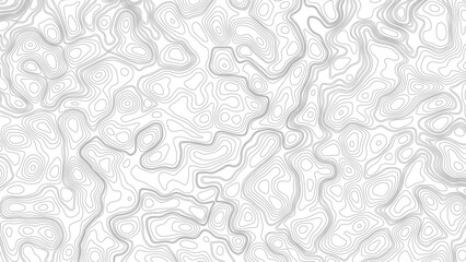 abstract height lines on white background ,vector Topographic map background. geographic line map with elevation assignments.   © Mst