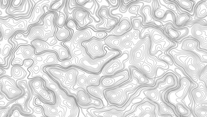 Topography background. Vector banner. Topography map background. Topographic map background. geographic line map with elevation assignments.  © Mst