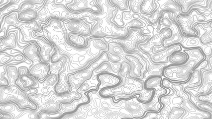 Topography background. Vector banner. Topography map background. Vector geographic contour map. Background of the topographic map. © Mst