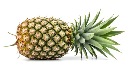Fototapeta premium A beautiful fresh and ripe whole pineapple fruit featuring its textured golden-green skin and vibrant green leafy crown.