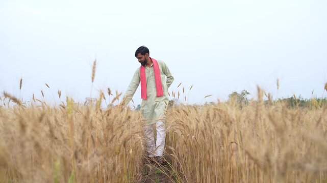 Young indian farmer standing at wheat agriculture field	