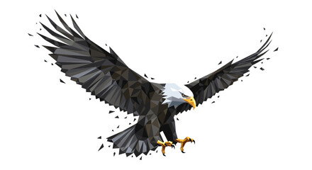 Fototapeta premium Adobe Illustrator Artwork