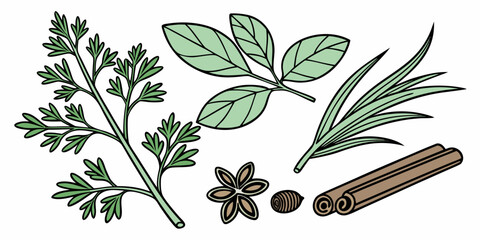 A diverse collection of fresh herbs and spices laid out on a white background © AC