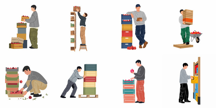 Flat vector illustration set of men working in a fruit warehouse, stacking crates of pomegranates, pushing pallets, and managing harvest logistics.