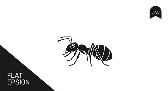 Black and white ant illustration side.
