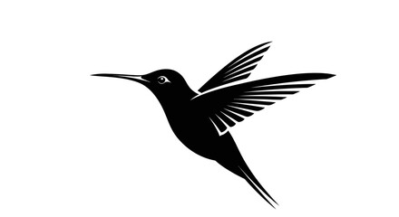 Fototapeta premium Black Hummingbird in Flight Profile.