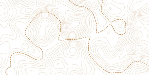 Contour background geographic grid. Vector illustration. Topographic map background.  © MdNayebAli