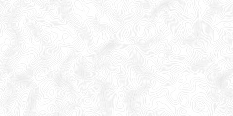 Minimal topography map area wallpaper. vector topo paper lines. Topographic contour lines grid map pattern. Geographic mountain relief. Contour hiking design. © MdLothfor