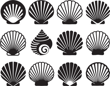 Collection of black seashell and conch silhouette icons on transparent background