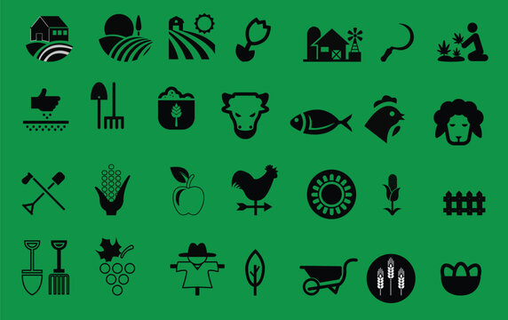 set of gardening tools