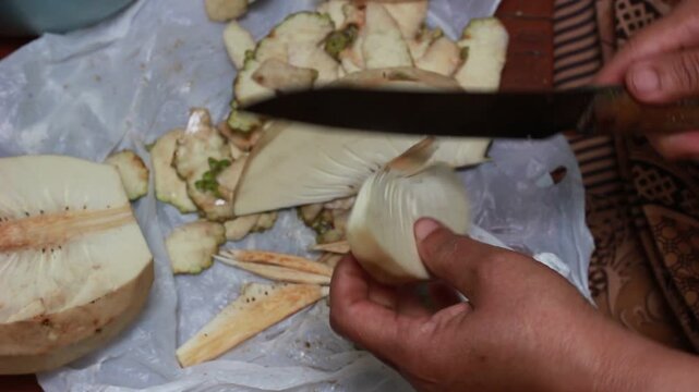 Breadfruit "Artocarpus incisus" which is peeled and then cut using a knife before being cooked
