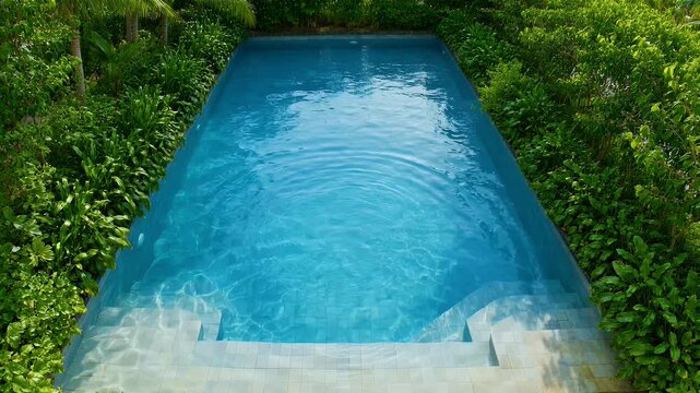 Lush tropical pool vibrant green plants frame a rectangular blue pool with entry steps