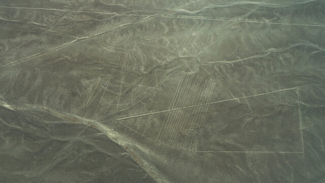 The Nazca Plateau. Aerial view. There are giant geoglyphs on the desert sand. Drawing of a monkey with a spirally curled tail, parallel lines. Peru.