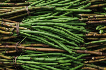 Close-up of bundled green beans