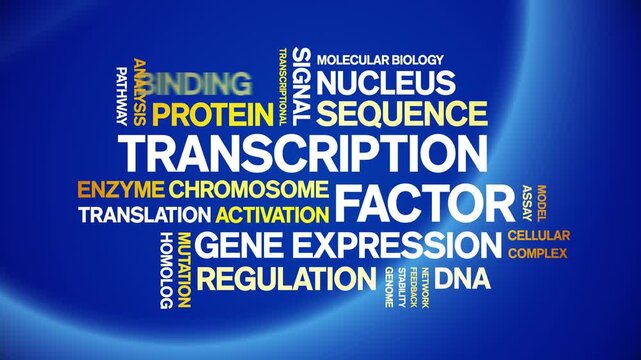 Transcription Factor animated word cloud-text design animation tag kinetic typography seamless loop.