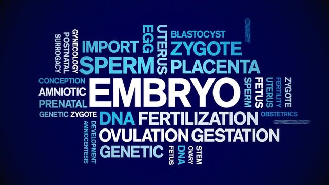 Embryo animated word cloud-text design animation tag kinetic typography seamless loop.