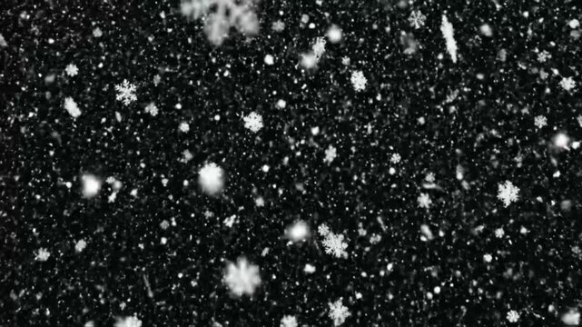 Realist snowflakes falling against dark night sky in winter