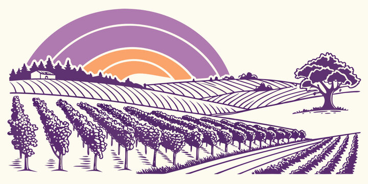A purple illustration of a vineyard at sunset Vector