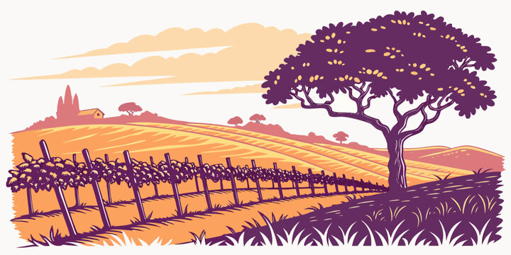 A tree standing in a vineyard at sunset Vector