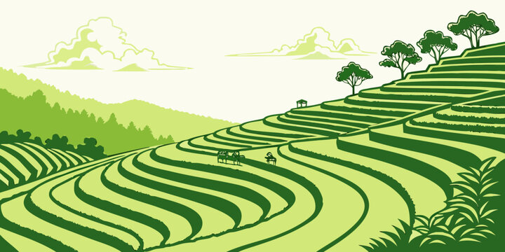 A green tea field with trees on a hillside Vector