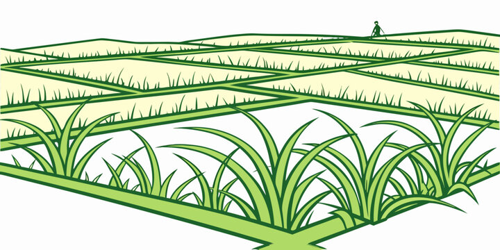 A green grassy field with a square patch of grass Vector