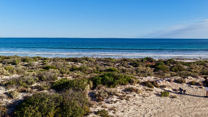 Fototapeta premium Davenport Creek, Charra, South Australia – 4K aerial drone view of coastal sand dunes, tidal creek, remote beach, wetlands, mangroves and rugged Eyre Peninsula shoreline. 